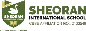 Sheoran International School